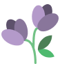 Flower Decoration