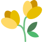 Flower Decoration