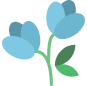 Flower Decoration